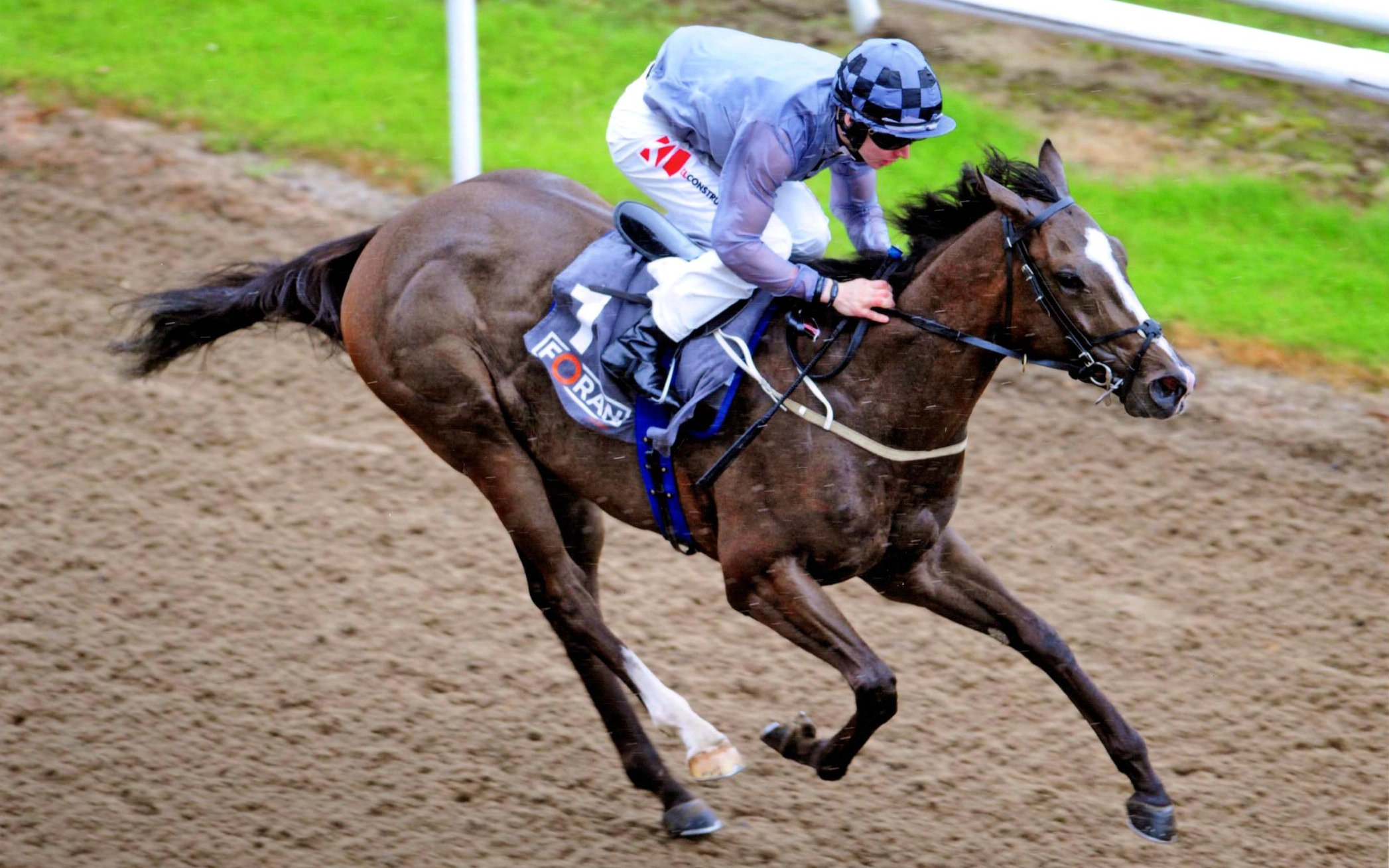 BURMESE WALTZ is the clear winner of the Forans Equine Irish EBF Maiden at Dundalk, 17th August 2018